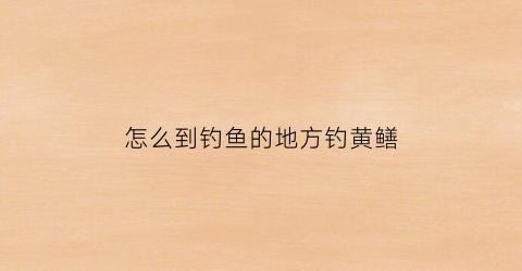 怎么到钓鱼的地方钓黄鳝(怎么到钓鱼的地方钓黄鳝视频)