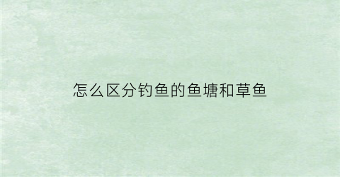 怎么区分钓鱼的鱼塘和草鱼(鱼塘钓草鱼技巧)