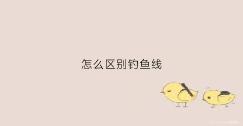 怎么区别钓鱼线(如何区分鱼线的好坏)