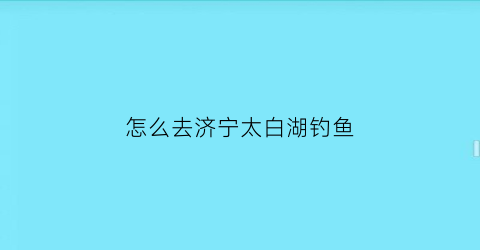 “怎么去济宁太白湖钓鱼(济宁太白湖在哪里怎么走)