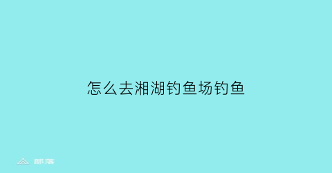 “怎么去湘湖钓鱼场钓鱼(湘湖哪里可以钓鱼野钓)