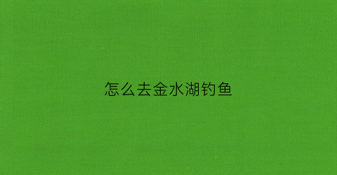 怎么去金水湖钓鱼(怎么去金水湖钓鱼呢)