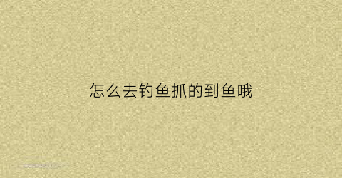怎么去钓鱼抓的到鱼哦(怎样去钓鱼)