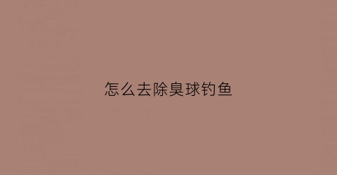 怎么去除臭球钓鱼(除臭球有毒吗)