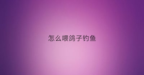 怎么喂鸽子钓鱼