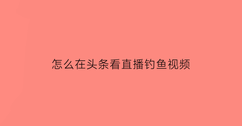 “怎么在头条看直播钓鱼视频(头条怎么看直播回放)