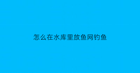 “怎么在水库里放鱼网钓鱼(水库里面的鱼怎样网)