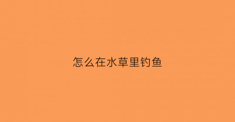 怎么在水草里钓鱼(水草丰富的水域怎么钓草鱼)