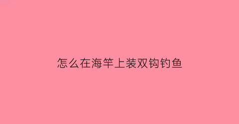 “怎么在海竿上装双钩钓鱼(怎么在海竿上装双钩钓鱼钩)