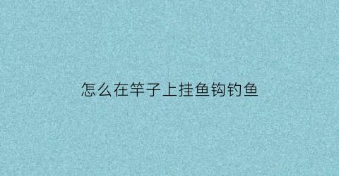“怎么在竿子上挂鱼钩钓鱼(鱼竿怎么挂钩和鱼线)
