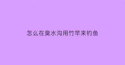 怎么在臭水沟用竹竿来钓鱼(怎么在臭水沟用竹竿来钓鱼呢)