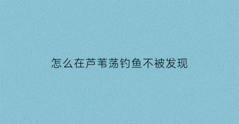 “怎么在芦苇荡钓鱼不被发现(如何在芦苇中开钓位)