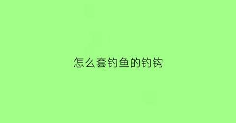 怎么套钓鱼的钓钩(怎么套鱼钩视频)