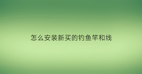 怎么安装新买的钓鱼竿和线(新买的鱼竿鱼线怎么组装)