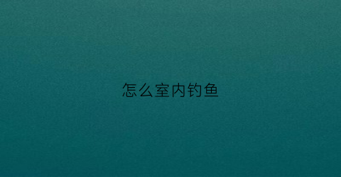 怎么室内钓鱼(室内钓小鱼)