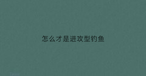怎么才是进攻型钓鱼(进攻型是什么意思)