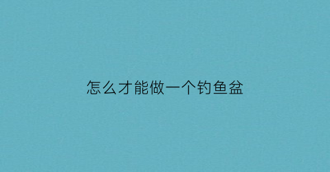怎么才能做一个钓鱼盆(怎么自己做钓鱼箱)