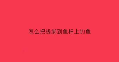 “怎么把线绑到鱼杆上钓鱼(怎么把线绑到鱼杆上钓鱼呢)