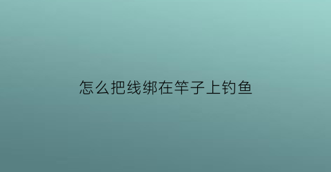 怎么把线绑在竿子上钓鱼(怎么把线绑在竿子上钓鱼视频教程)