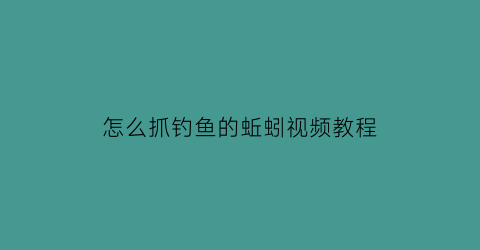 怎么抓钓鱼的蚯蚓视频教程(怎样抓蚯蚓)