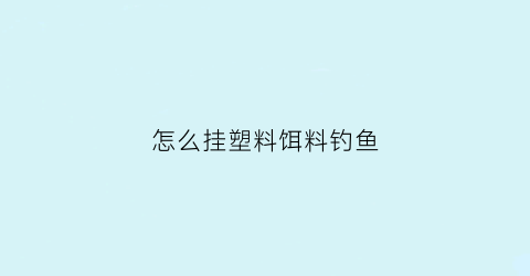 “怎么挂塑料饵料钓鱼(塑料饵料钓鱼好不好用)