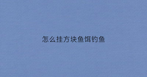 怎么挂方块鱼饵钓鱼(方块鱼饵挂钩视频教程)