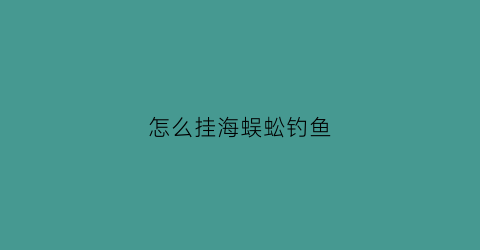 怎么挂海蜈蚣钓鱼(怎么挂海蜈蚣钓鱼饵料)
