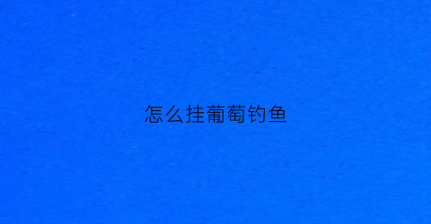 怎么挂葡萄钓鱼(葡萄怎么挂钩钓青鱼)