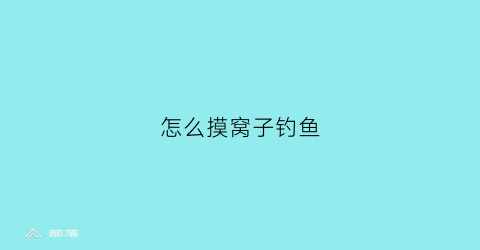 怎么摸窝子钓鱼(怎么摸窝子钓鱼视频)