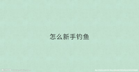 怎么新手钓鱼(新手怎么钓鱼)