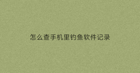 怎么查手机里钓鱼软件记录