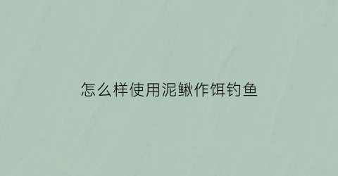 “怎么样使用泥鳅作饵钓鱼(用泥鳅怎么钓鱼主钓什么鱼)