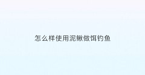 怎么样使用泥鳅做饵钓鱼(泥鳅做钓饵的方法)