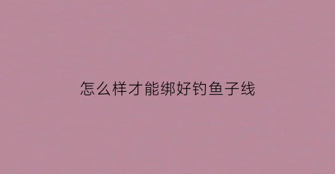 怎么样才能绑好钓鱼子线(钓鱼绑子线教程视频)