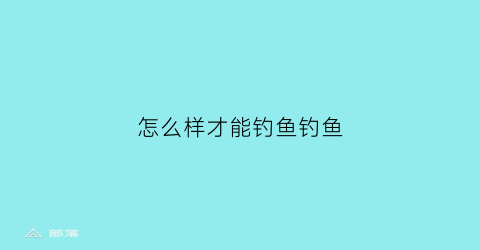 怎么样才能钓鱼钓鱼(怎么样才能钓鱼钓的更快掉的更多)