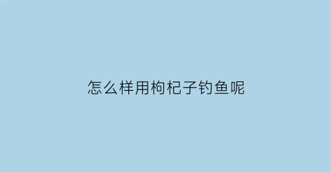 怎么样用枸杞子钓鱼呢(用枸杞做钓饵)