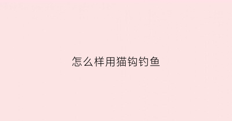 怎么样用猫钩钓鱼
