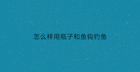 怎么样用瓶子和鱼钩钓鱼(怎么样用瓶子和鱼钩钓鱼视频)