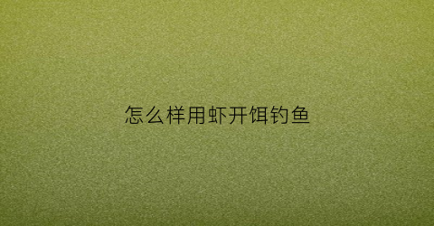 怎么样用虾开饵钓鱼(用虾怎么开饵料)