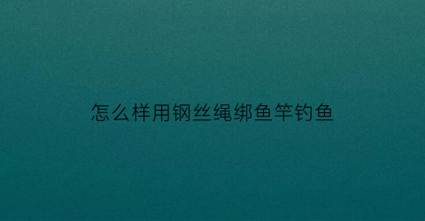 怎么样用钢丝绳绑鱼竿钓鱼(钢丝绳钓鱼好钓吗)