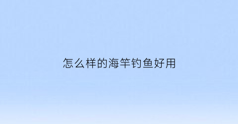 “怎么样的海竿钓鱼好用(海竿钓什么鱼用什么钩)