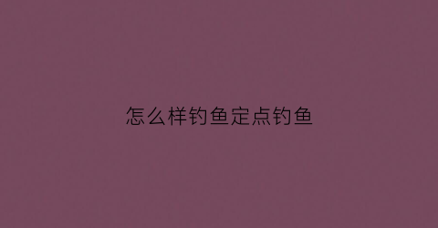 怎么样钓鱼定点钓鱼(怎么样钓鱼定点钓鱼最好)
