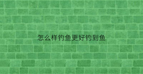 “怎么样钓鱼更好钓到鱼(怎么钓鱼才好)