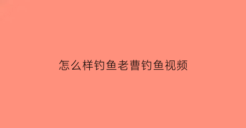 怎么样钓鱼老曹钓鱼视频