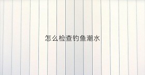 怎么检查钓鱼潮水