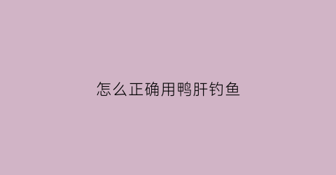 “怎么正确用鸭肝钓鱼(怎么正确用鸭肝钓鱼饵料)