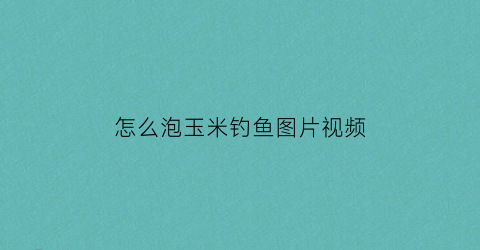 怎么泡玉米钓鱼图片视频(怎么泡玉米钓鱼图片视频大全)