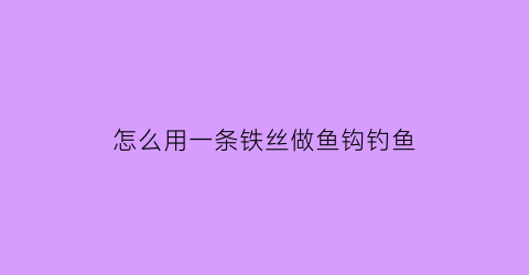 怎么用一条铁丝做鱼钩钓鱼(用铁丝做鱼竿)