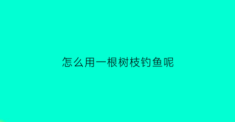 怎么用一根树枝钓鱼呢(怎么在树枝多的地方钓鱼)
