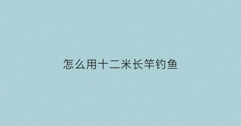 怎么用十二米长竿钓鱼(怎么用十二米长竿钓鱼视频教程)